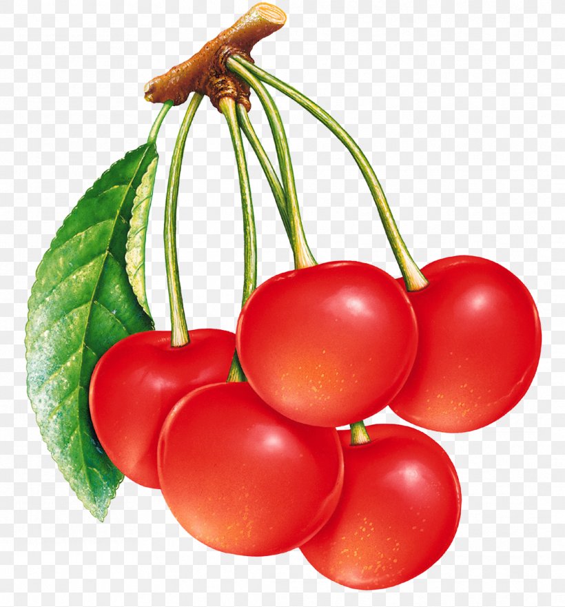 Strawberry Fruit Drawing Cherry, PNG, 1064x1144px, Berry, Apple, Bush Tomato, Cerasus, Cherry Download Free
