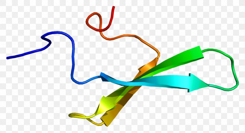 Transcription Elongation Regulator 1 Gene Nucleolus Organizer Region Protein, PNG, 1014x553px, Watercolor, Cartoon, Flower, Frame, Heart Download Free