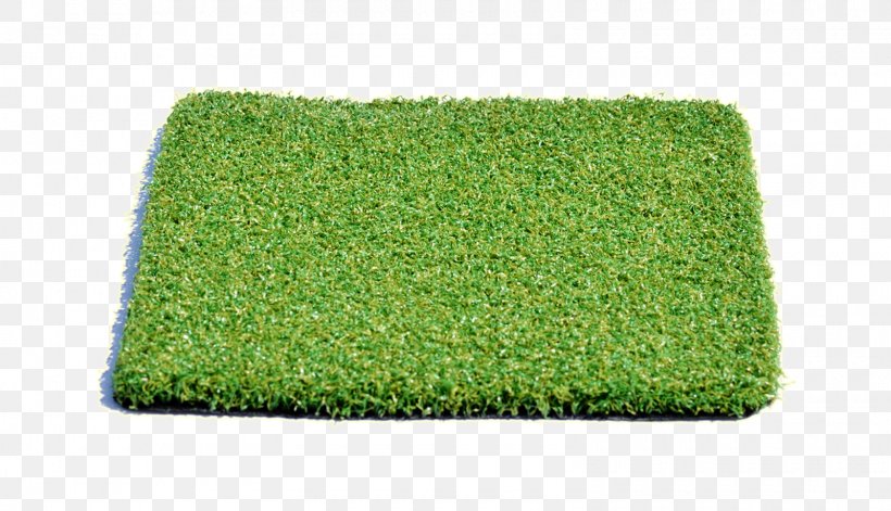 Artificial Turf Lawn Athletics Field Rectangle Sport, PNG, 1600x920px, Artificial Turf, Athletics Field, Fitness Centre, Golf, Grass Download Free