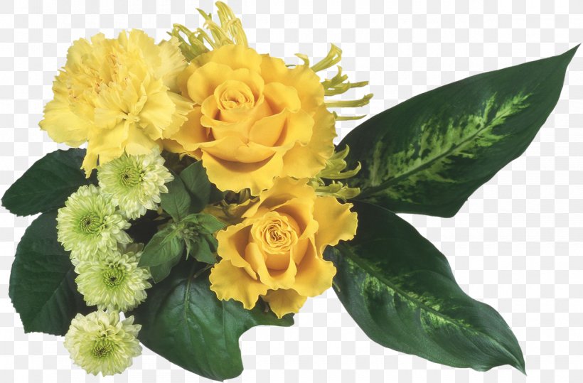 Cut Flowers Flower Bouquet Clip Art, PNG, 1200x790px, Flower, Blue Rose, Carnation, Cut Flowers, Floral Design Download Free