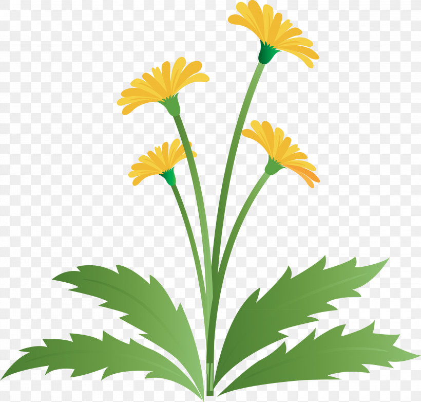 Dandelion Flower Easter Day Flower Spring Flower, PNG, 3000x2864px, Dandelion Flower, Chamomile, Daisy Family, Easter Day Flower, English Marigold Download Free