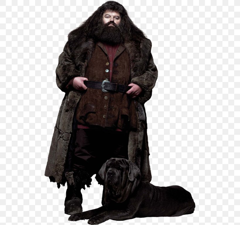 Rubeus Hagrid Hermione Granger Garrï Potter Ron Weasley Fictional Universe Of Harry Potter, PNG, 518x768px, Rubeus Hagrid, Character, Costume, Fang, Fictional Character Download Free