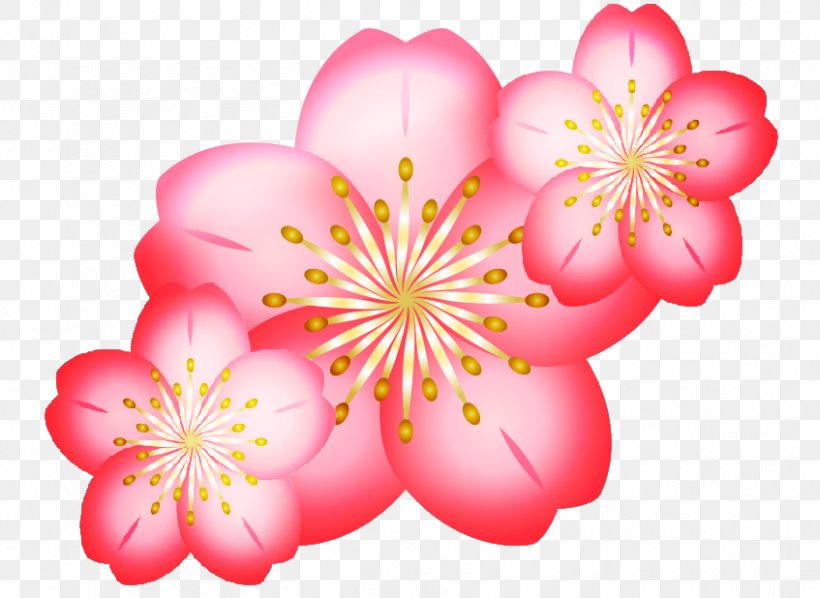 Cherry Blossom Digital Art Clip Art, PNG, 847x618px, Blossom, Art, Cherry, Cherry Blossom, Cutie Mark Chronicles Download Free