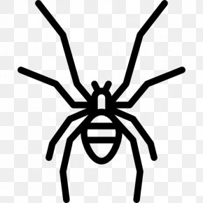 Insect - Insect Clip Art PNG