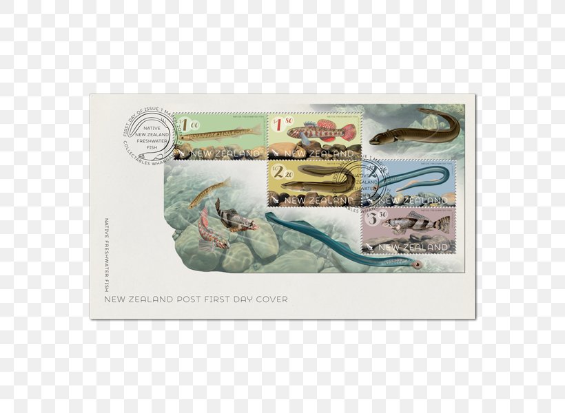 New Zealand Freshwater Fish Animal Fresh Water, PNG, 600x600px, New Zealand, Animal, Currency, Evolution, Fish Download Free