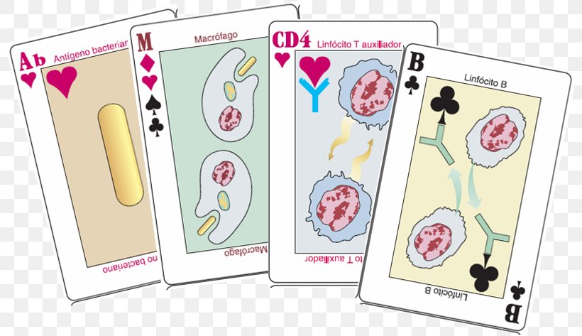 Paper Card Game Playing Card, PNG, 808x473px, Paper, Card Game, Game, Games, Playing Card Download Free