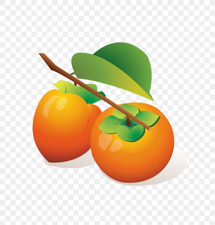 Persimmon Cartoon Orange, PNG, 1346x1405px, Persimmon, Apple, Bitter Orange, Cartoon, Citrus Download Free