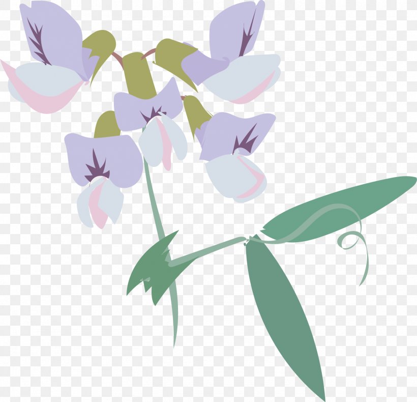 Sweet Pea Flower, PNG, 1516x1462px, Leaf, Branch, Dendrobium, Floral Design, Flower Download Free
