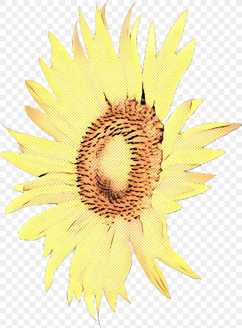 Yellow Flower, PNG, 1522x2059px, Common Sunflower, Asterales, Closeup, Daisy Family, Flower Download Free