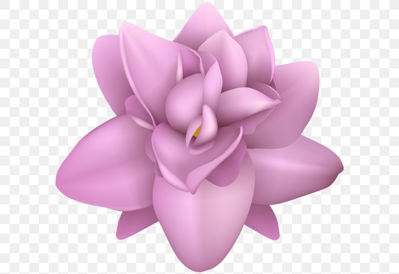 Petal Image Clip Art Transparency, PNG, 600x563px, Petal, Flower, Flowering Plant, Image Resolution, Leaf Download Free