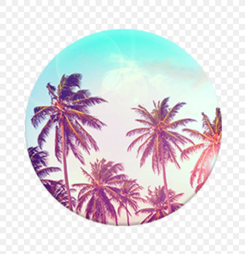 PopSockets Grip Stand Mobile Phones Tree Arecaceae, PNG, 700x850px, Popsockets, Amazoncom, Arecaceae, Clothing Accessories, Handheld Devices Download Free