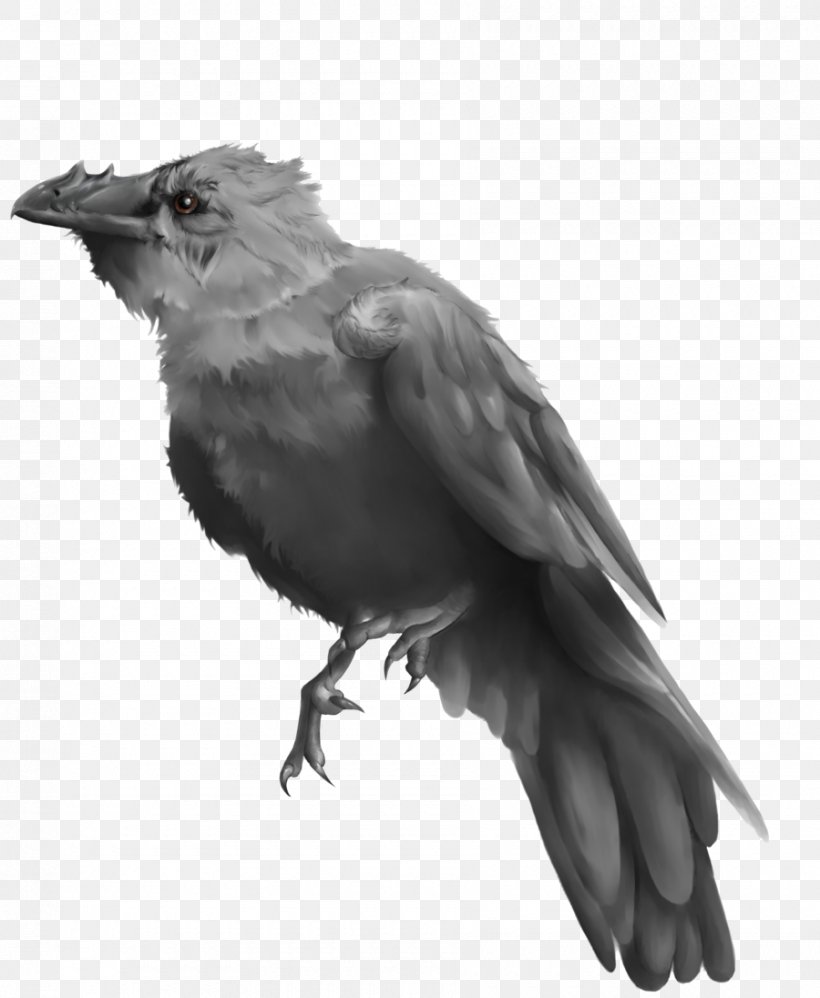 American Crow Painting Common Raven Finches Art, PNG, 900x1096px, American Crow, Art, Artist, Beak, Biomechanics Download Free