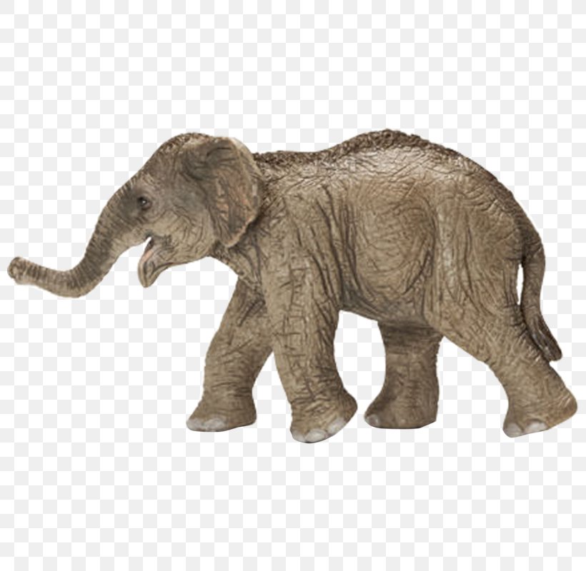 Asian Elephant Schleich Female African Elephant Toy Figure Action & Toy Figures, PNG, 800x800px, Asian Elephant, Action Toy Figures, African Elephant, Animal Figure, Elephant Download Free