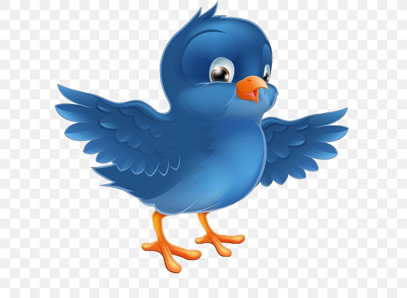 Bluebird Clip Art, PNG, 600x600px, Bird, Beak, Bluebird, Can Stock Photo, Chicken Download Free