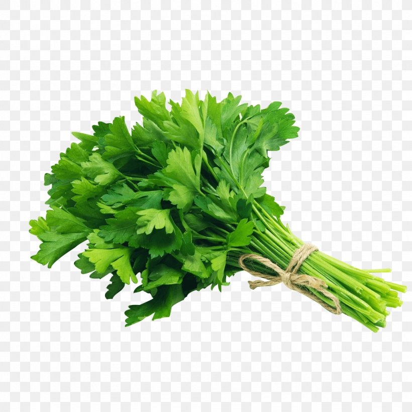 Organic Food Parsley Vegetable Herb Grocery Store, PNG, 1024x1024px, Organic Food, Celery, Coriander, Dried Fruit, Flavor Download Free