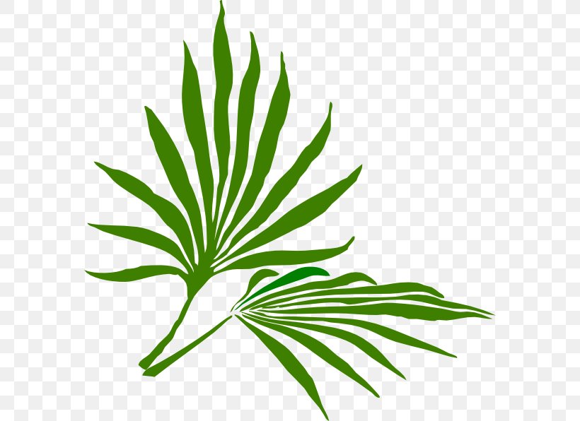 Palm Sunday Palm Branch Easter Clip Art, PNG, 582x596px, Palm Sunday, Arecaceae, Arecales, Branch, Easter Download Free