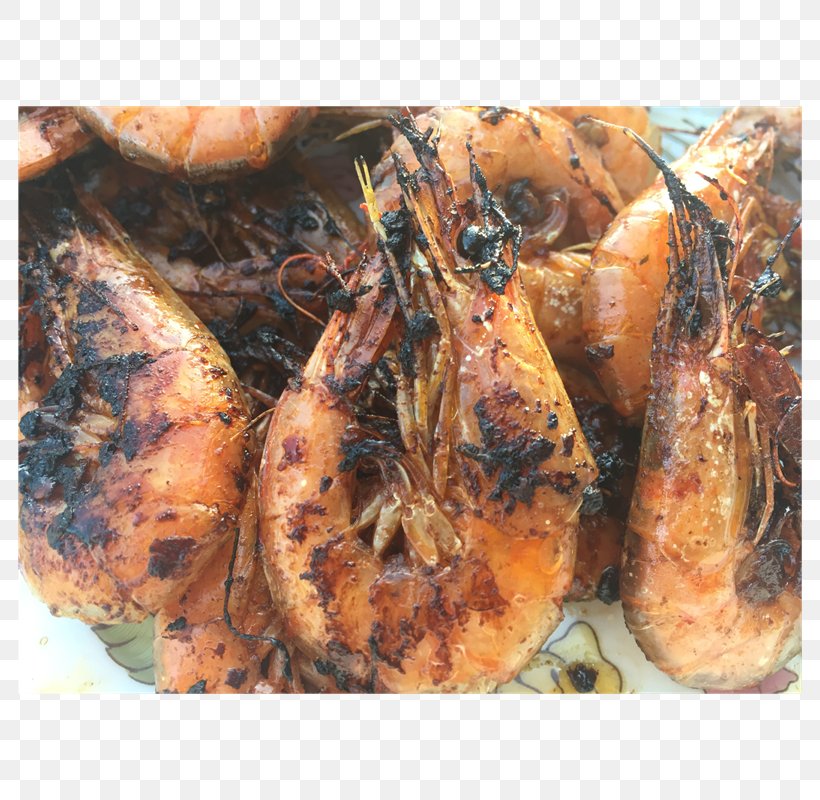 Pellet Fuel Barbecue Romeritos Herb Smoking, PNG, 800x800px, Pellet Fuel, Animal Source Foods, Barbecue, Cooking, Dish Download Free