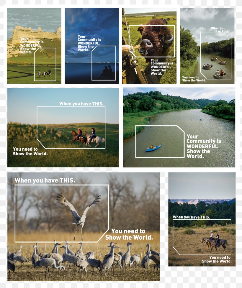 Ecoregion Landscape Fauna National Park Advertising, PNG, 1667x1988px, Ecoregion, Advertising, Brand, Brochure, Ecosystem Download Free
