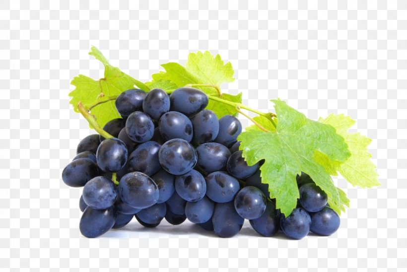Grape Seed Extract Grape Seed Oil Dietary Supplement, PNG, 847x567px, Grape Seed Extract, Antioxidant, Berry, Bilberry, Blood Pressure Download Free