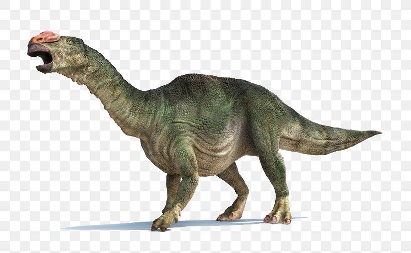 Tyrannosaurus Muttaburrasaurus Late Cretaceous Leaellynasaura Parasaurolophus, PNG, 746x504px, Tyrannosaurus, Animal Figure, Cretaceous, Dinosaur, Early Cretaceous Download Free