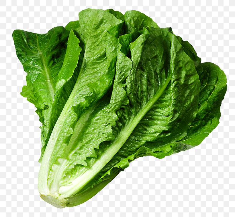 Greek Salad Caesar Salad Clip Art Lettuce Sandwich, PNG, 800x756px, Greek Salad, Arugula, Blt, Butterhead Lettuce, Cabbage Download Free