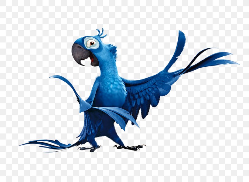 Blue Sky Studios Film Parrot Rio, PNG, 800x600px, Blu, Animal Figure, Animated Cartoon, Animation, Art Download Free