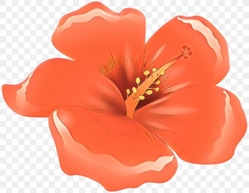 Flowers Background, PNG, 3000x2337px, Rosemallows, Chinese Hibiscus, Cut Flowers, Flower, Hawaiian Hibiscus Download Free