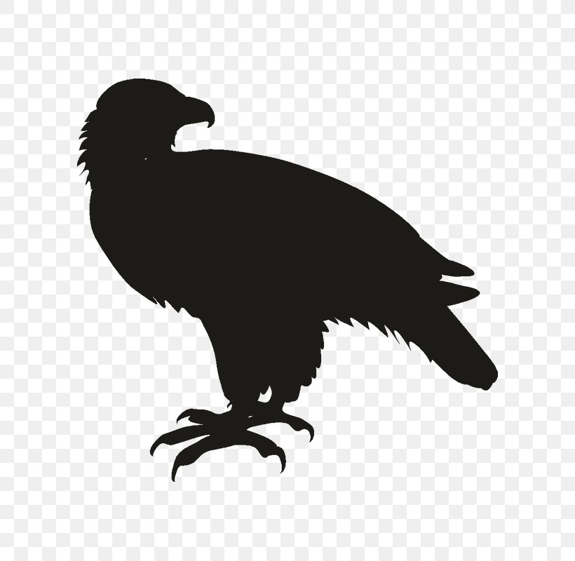 Illustration Vector Graphics Image Silhouette Royalty-free, PNG, 800x800px, Silhouette, Beak, Bird, Bird Of Prey, Black And White Download Free