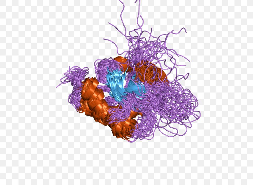 SCO1 SCO2 Protein Organism Mitochondrial Disease, PNG, 800x600px, Protein, Gene, Homo Sapiens, Homology, Mitochondrial Disease Download Free