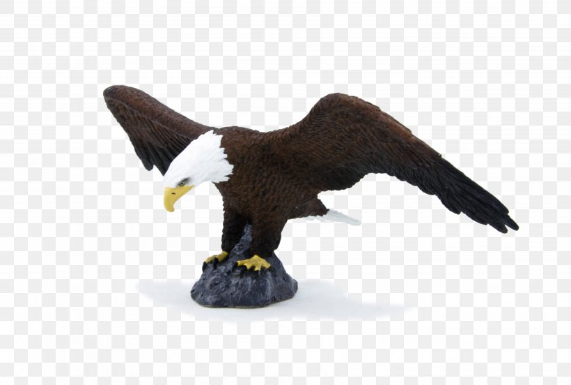 Bald Eagle African Wild Dog American Black Bear Bird Horse, PNG, 3988x2689px, Bald Eagle, Accipitridae, Accipitriformes, Action Toy Figures, African Elephant Download Free