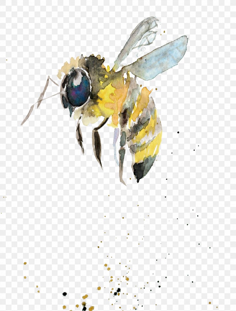 Bumblebee Watercolor Painting Drawing Insect, PNG, 2212x2921px, Bee, Art, Arthropod, Artist, Bumblebee Download Free