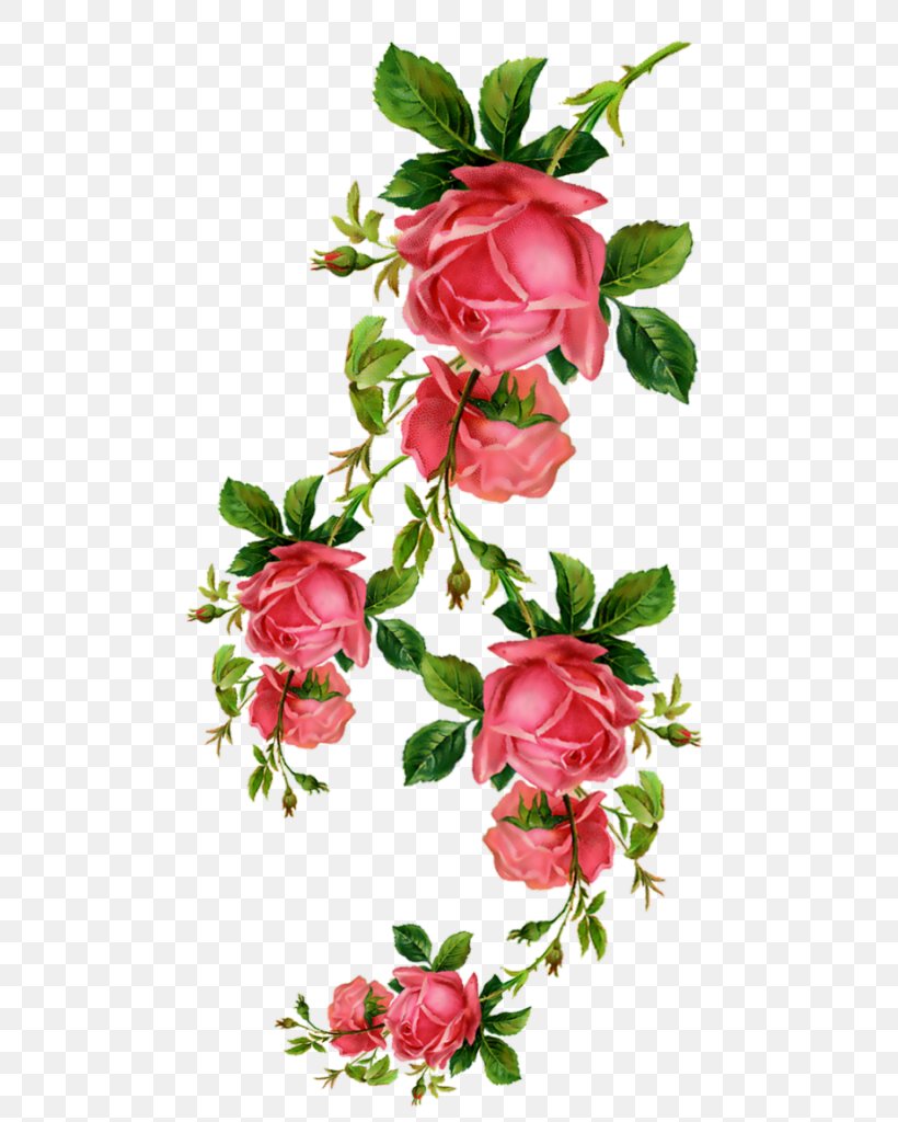 Garden Roses Birthday Flower Floral Design Blume, PNG, 533x1024px, Garden Roses, Azalea, Birthday, Blume, Branch Download Free