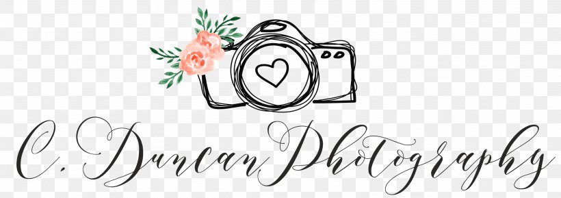 Logo Illustration Font T-shirt Calligraphy, PNG, 2516x888px, Watercolor, Cartoon, Flower, Frame, Heart Download Free