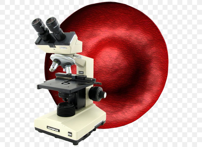 Microscope Live Blood Analysis Microscopy Blood Cell, PNG, 600x600px, Microscope, Blood, Blood Cell, Blood Test, Cell Download Free