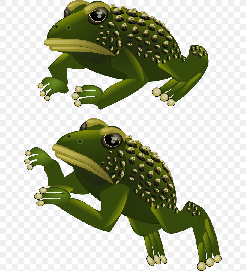 Toad Tree Frog Amphibians Sprite, PNG, 658x904px, 2d Computer Graphics, Toad, Amphibian, Amphibians, Animal Download Free