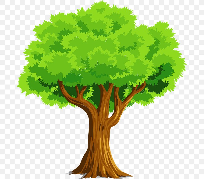 Tree Clip Art, PNG, 683x720px, Tree, Branch, Grass, Leaf, Leaf Vegetable Download Free