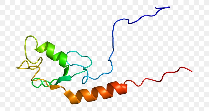 UBE4A Protein Gene Human Ubiquitination, PNG, 742x434px, Protein, Area, Gene, Human, Organism Download Free