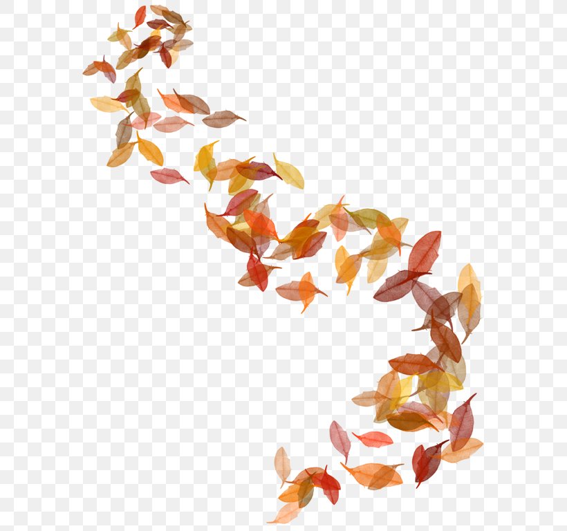 Leaf Autumn Clip Art, PNG, 590x768px, Leaf, Autumn, Digital Image, Information, Maple Leaf Download Free