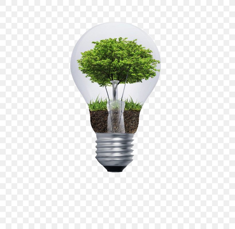 Natural Environment Environmental Degradation Environmental Consulting Sustainability Incandescent Light Bulb, PNG, 554x800px, Natural Environment, Biodiversity, Ecology, Efficiency, Energy Download Free