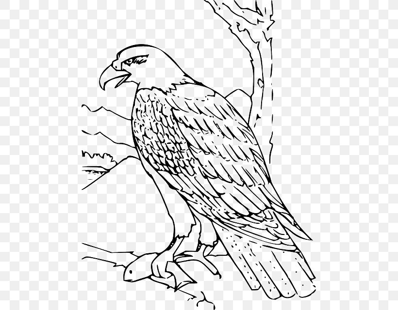 Bald Eagle Coloring Book Drawing, PNG, 483x640px, Bald Eagle, Adult, Animal, Art, Beak Download Free