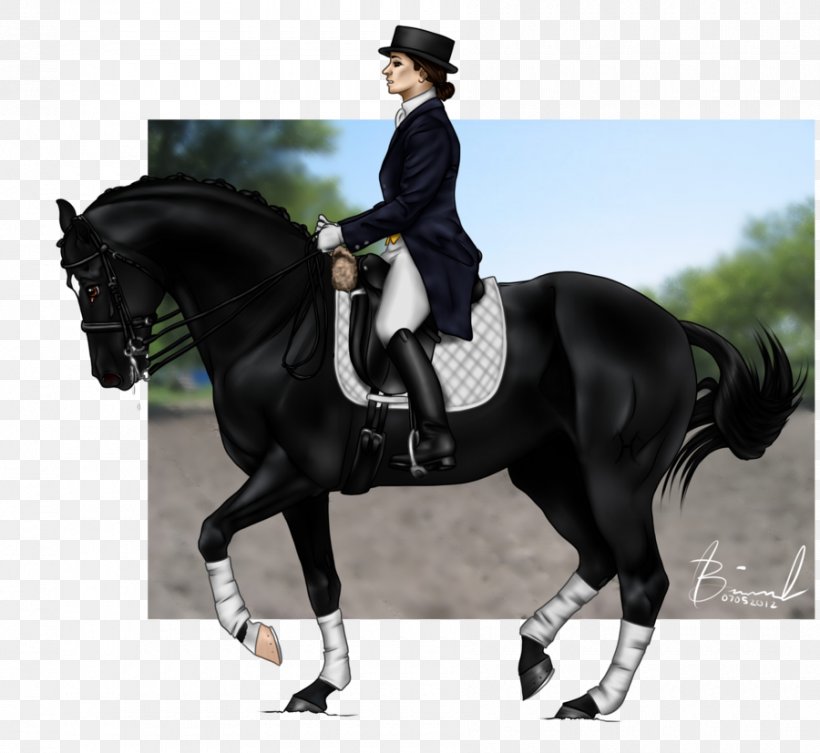 Hunt Seat Stallion Rein Equestrian Horse, PNG, 900x827px, Hunt Seat, Animal Sports, Animal Training, Bit, Bridle Download Free
