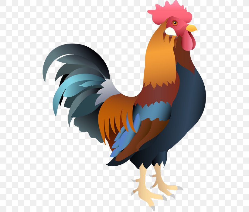 Rooster Chicken Clip Art, PNG, 539x700px, Rooster, Animaatio, Animated Film, Beak, Bird Download Free