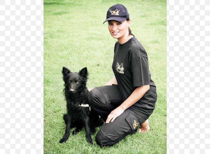 Schipperke Australian Kelpie Police Dog Obedience Training Dog Breed, PNG, 600x600px, Schipperke, Australian Kelpie, Breed, Companion Dog, Dog Download Free