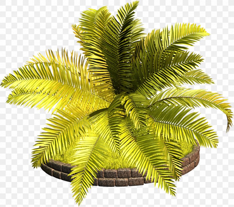 Arecaceae Tree Vascular Plant Clip Art, PNG, 1200x1066px, Arecaceae, Arecales, Coconut, Date Palm, Digital Image Download Free