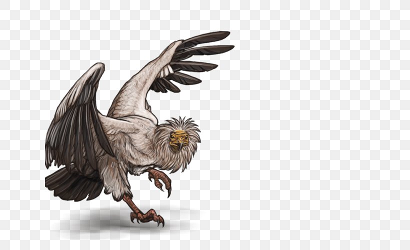 Bald Eagle Lion Bird Egyptian Vulture, PNG, 640x500px, Bald Eagle, Beak, Bird, Bird Of Prey, Chicken Download Free