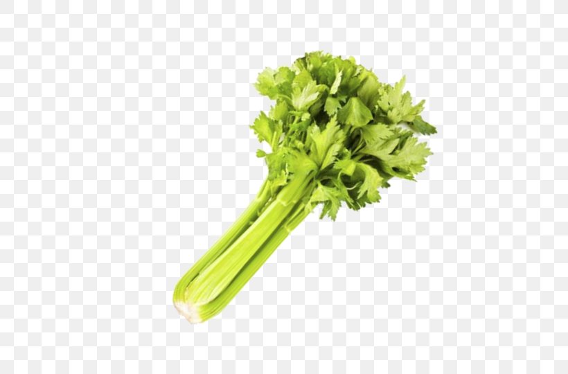 Celery Spring Greens Vegetable Rapini Lettuce, PNG, 526x540px, Celery, Artichoke, Carbohydrate, Chard, Chicory Download Free