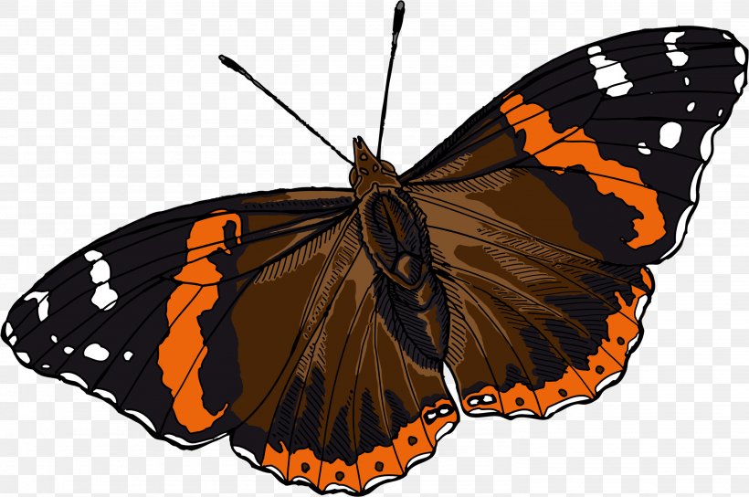 Monarch Butterfly Pieridae Red Admiral Moth, PNG, 2975x1976px, Monarch Butterfly, Arthropod, Bozzolo, Brush Footed Butterfly, Brushfooted Butterflies Download Free
