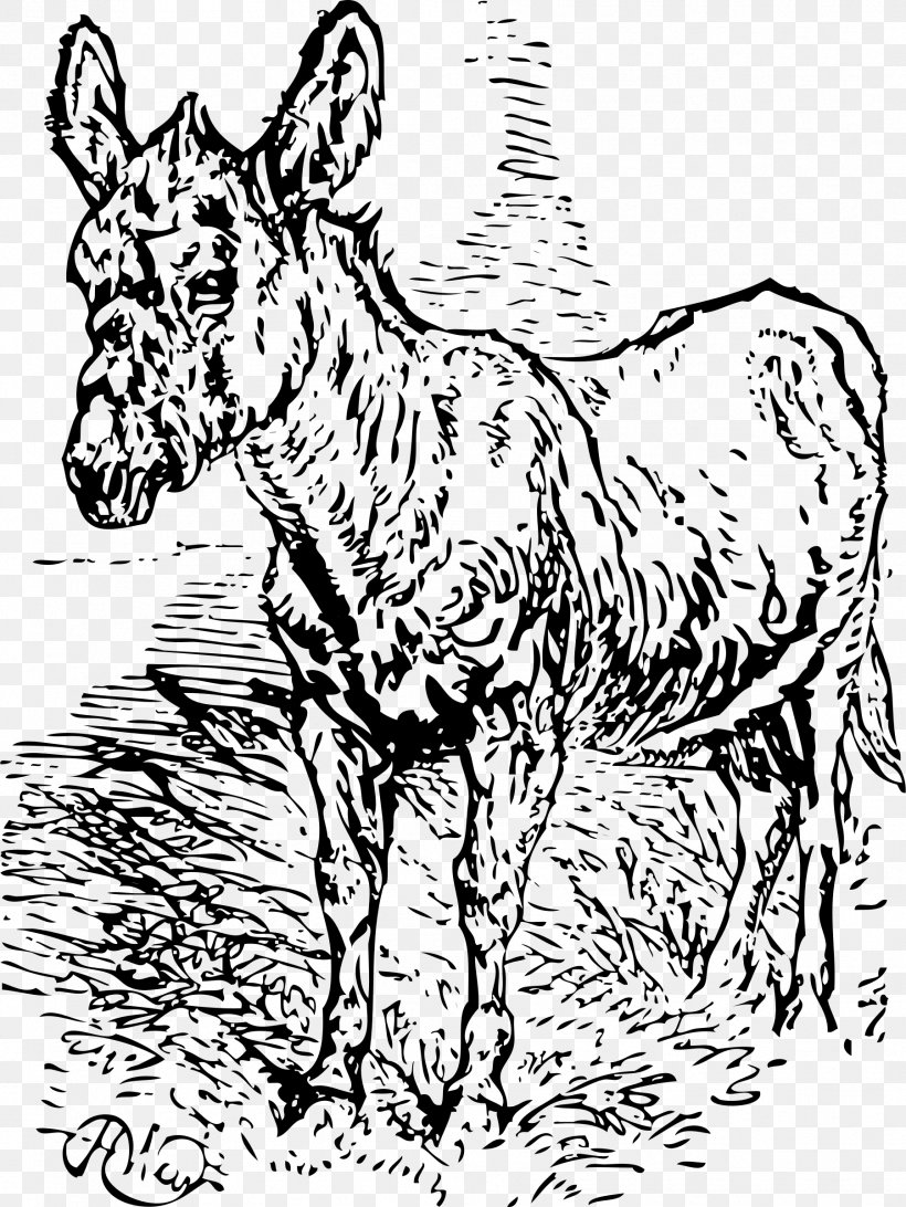 Mule Donkey Clip Art, PNG, 1802x2400px, Mule, Art, Black And White, Cartoon, Cattle Like Mammal Download Free