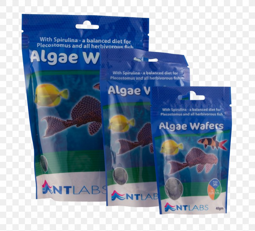 Plastic Water Algae NT Labs, PNG, 874x791px, Plastic, Algae, Laboratory, Water Download Free