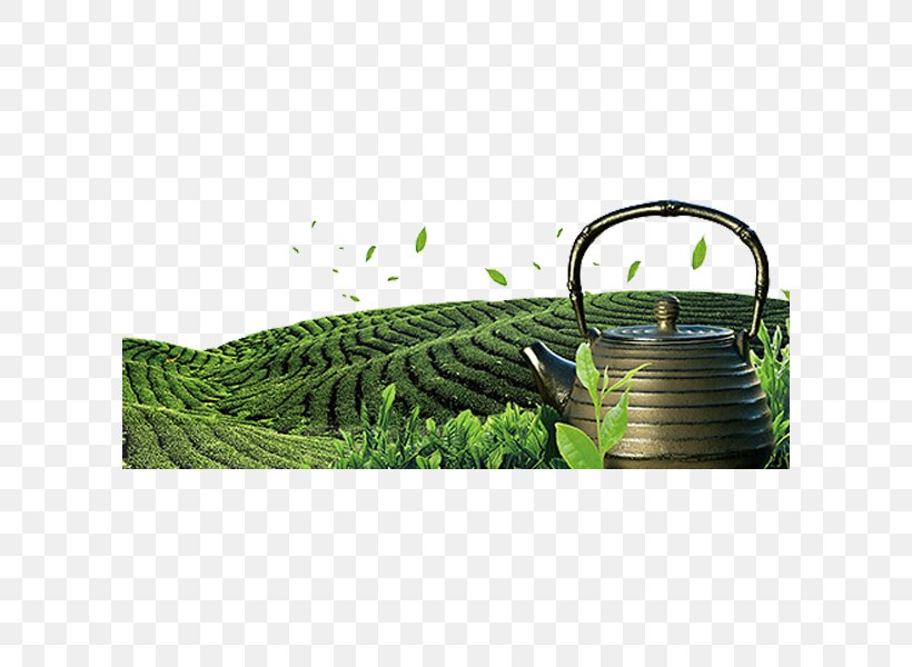 Tea Garden Download, PNG, 600x600px, Tea, Brand, Designer, Grass, Green Download Free